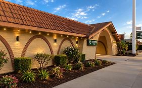 Grapevine Inn